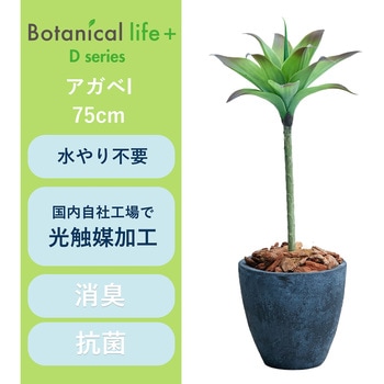 光触媒インテリアグリーン 観葉植物 エスエスケイ