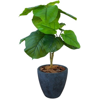 光触媒インテリアグリーン 観葉植物 エスエスケイ