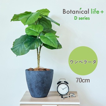 光触媒インテリアグリーン 観葉植物 エスエスケイ