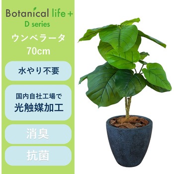 光触媒インテリアグリーン 観葉植物 エスエスケイ