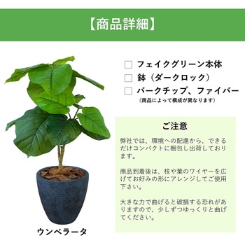 光触媒インテリアグリーン 観葉植物 エスエスケイ