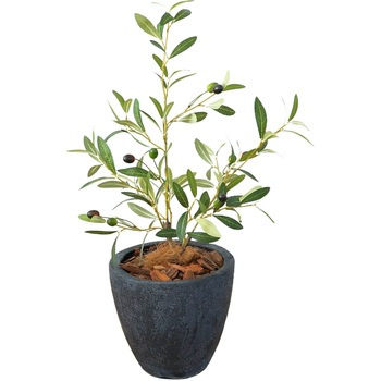 光触媒インテリアグリーン 観葉植物 エスエスケイ
