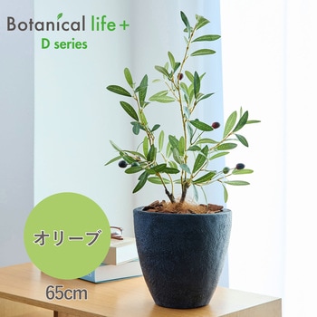 光触媒インテリアグリーン 観葉植物 エスエスケイ