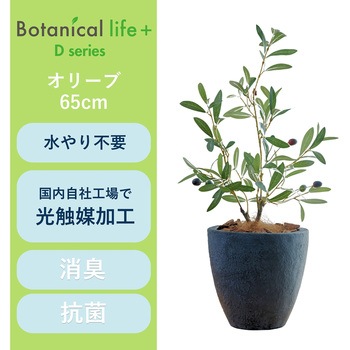 光触媒インテリアグリーン 観葉植物 エスエスケイ
