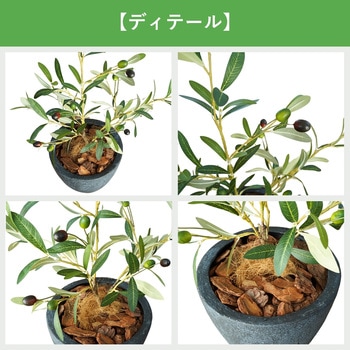 光触媒インテリアグリーン 観葉植物 エスエスケイ