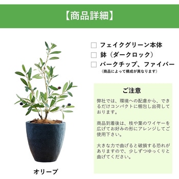 光触媒インテリアグリーン 観葉植物 エスエスケイ