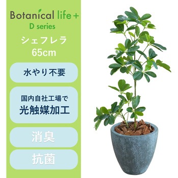 光触媒インテリアグリーン 観葉植物 エスエスケイ