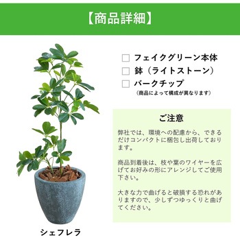 光触媒インテリアグリーン 観葉植物 エスエスケイ