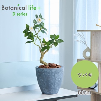 光触媒インテリアグリーン 観葉植物 エスエスケイ