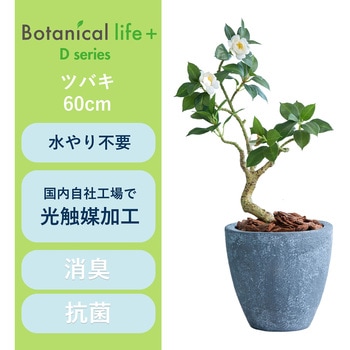 光触媒インテリアグリーン 観葉植物 エスエスケイ