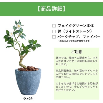 光触媒インテリアグリーン 観葉植物 エスエスケイ