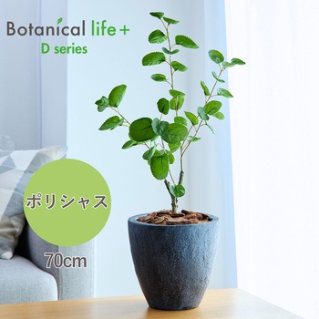 光触媒インテリアグリーン 観葉植物 エスエスケイ