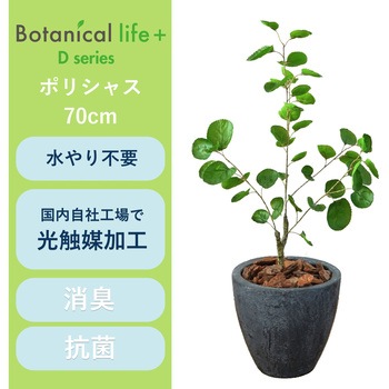 光触媒インテリアグリーン 観葉植物 エスエスケイ