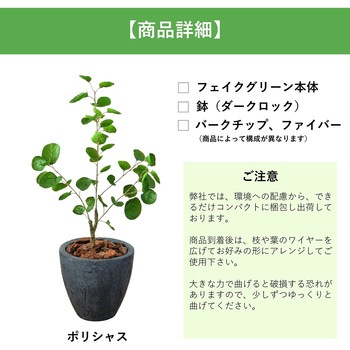 光触媒インテリアグリーン 観葉植物 エスエスケイ