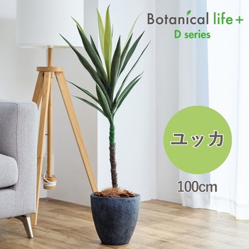 光触媒インテリアグリーン 観葉植物 エスエスケイ
