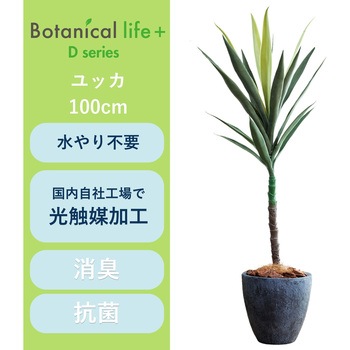 光触媒インテリアグリーン 観葉植物 エスエスケイ