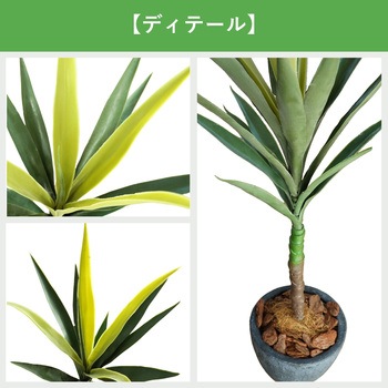 光触媒インテリアグリーン 観葉植物 エスエスケイ