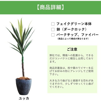 光触媒インテリアグリーン 観葉植物 エスエスケイ