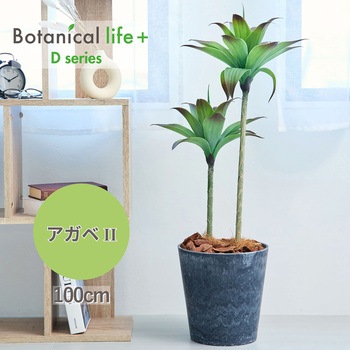 光触媒インテリアグリーン 観葉植物 エスエスケイ