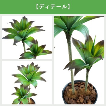 光触媒インテリアグリーン 観葉植物 エスエスケイ