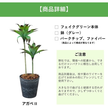 光触媒インテリアグリーン 観葉植物 エスエスケイ