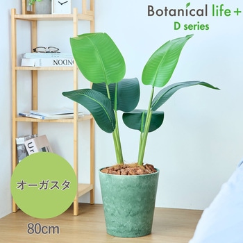 光触媒インテリアグリーン 観葉植物 エスエスケイ