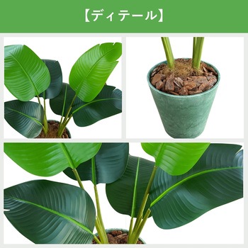 光触媒インテリアグリーン 観葉植物 エスエスケイ