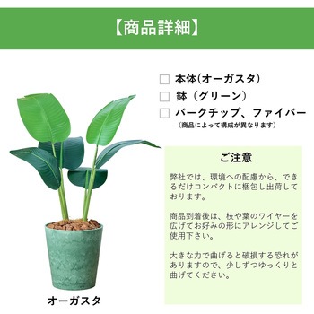 光触媒インテリアグリーン 観葉植物 エスエスケイ