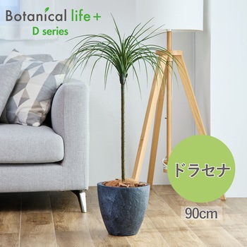光触媒インテリアグリーン 観葉植物 エスエスケイ