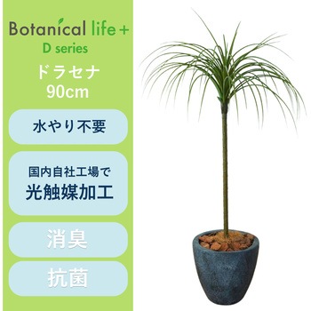 光触媒インテリアグリーン 観葉植物 エスエスケイ