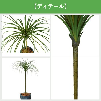 光触媒インテリアグリーン 観葉植物 エスエスケイ