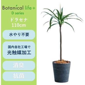 光触媒インテリアグリーン 観葉植物 エスエスケイ