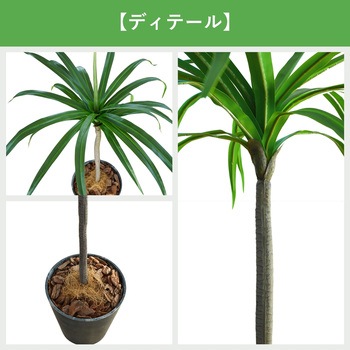 光触媒インテリアグリーン 観葉植物 エスエスケイ