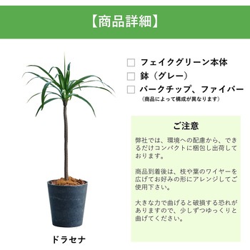 光触媒インテリアグリーン 観葉植物 エスエスケイ