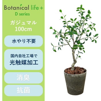 光触媒インテリアグリーン 観葉植物 エスエスケイ