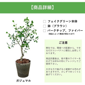 光触媒インテリアグリーン 観葉植物 エスエスケイ