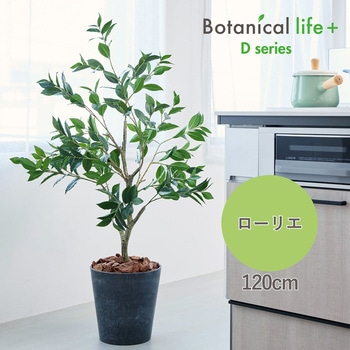 光触媒インテリアグリーン 観葉植物 エスエスケイ