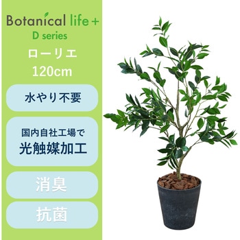 光触媒インテリアグリーン 観葉植物 エスエスケイ