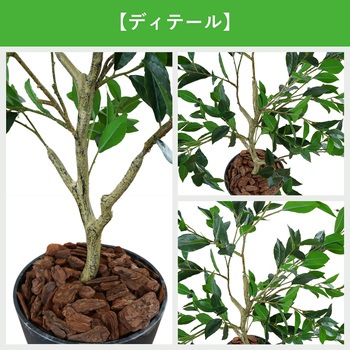 光触媒インテリアグリーン 観葉植物 エスエスケイ