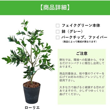 光触媒インテリアグリーン 観葉植物 エスエスケイ