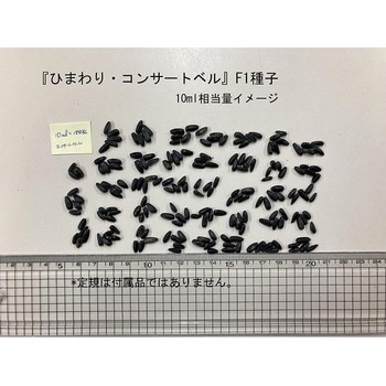 【タネ】 ひまわり・コンサートベル 福花園