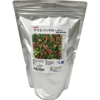 【タネ】 クリムソンクローバー 福花園