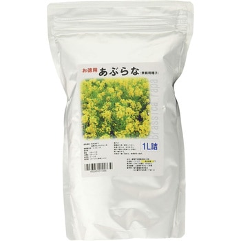 【タネ】 あぶらな 福花園