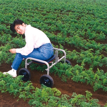 エスカルゴ 槍木産業