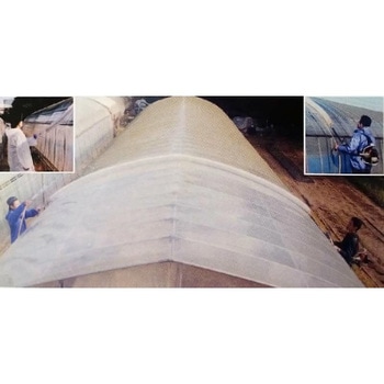 ブラシのみ 背負いあらいぐま用ブラシ 槍木産業