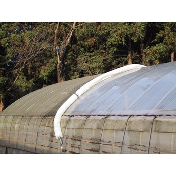 ブラシのみ 背負いあらいぐま用ブラシ 槍木産業