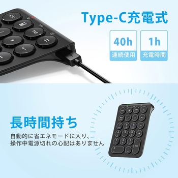 ワイヤレステンキー iClever