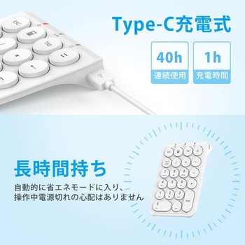ワイヤレステンキー iClever