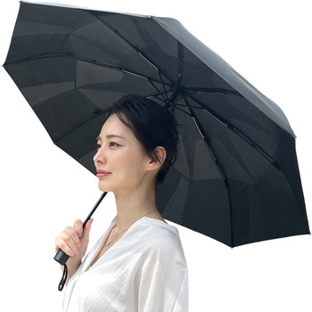 キレイに折りたためる傘 ヒラカワ