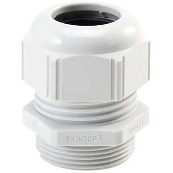 SKINTOP STR-M 12X1.5 RAL 7035 LGY SKINTOP